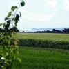 Tour 7: Kap Arkona